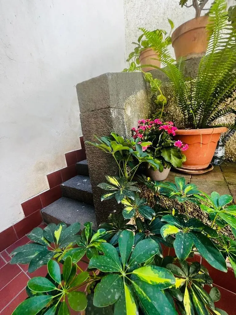 Casa In Centro A Giarre Villa